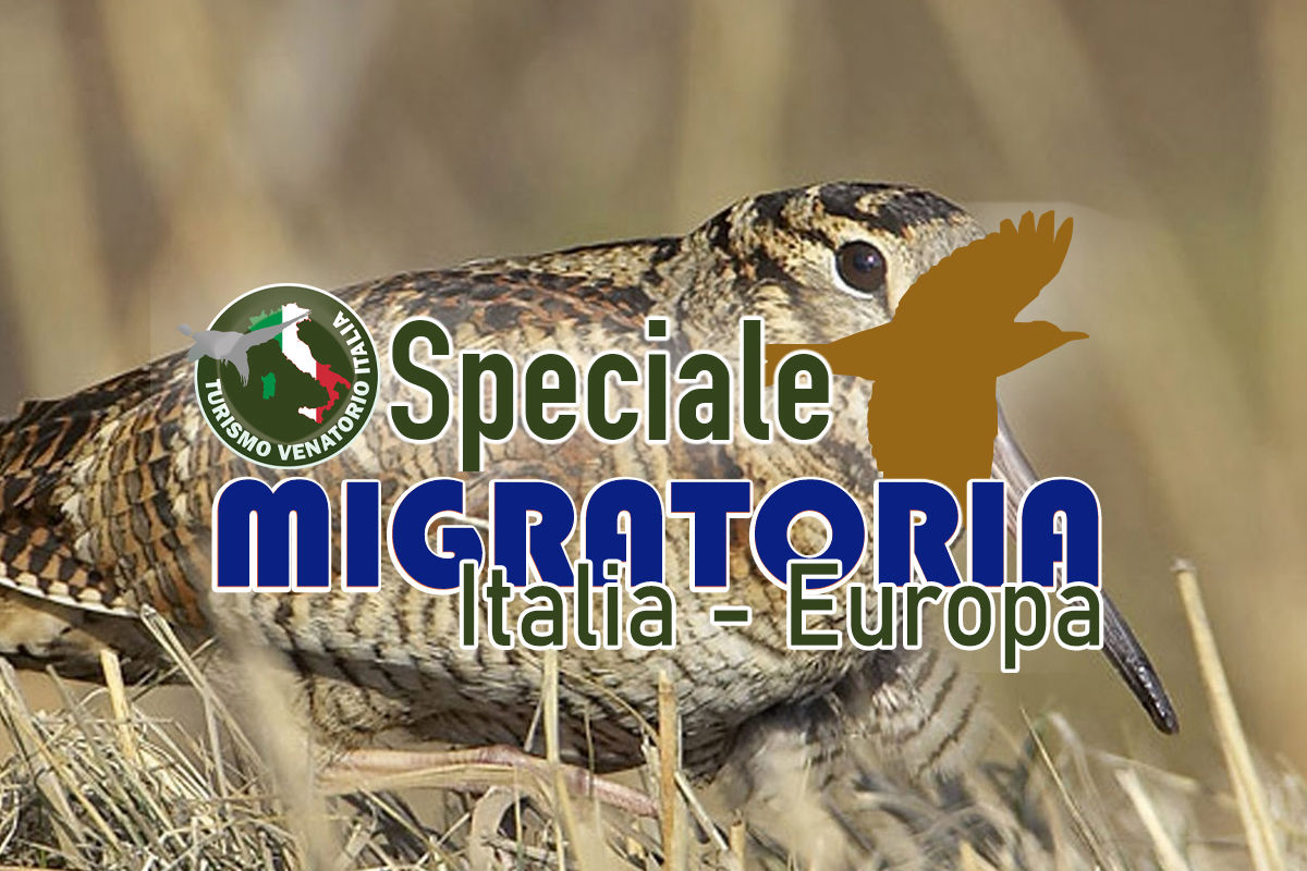fauna migratoria caccia sentieri venatori