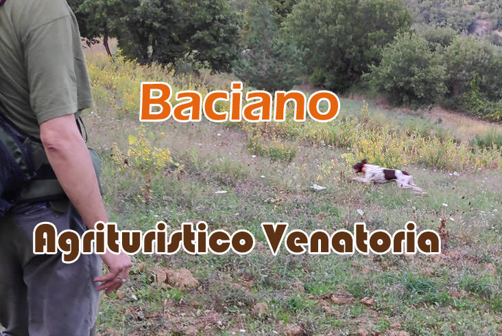 baciano caccia alla pernice rossa in toscana