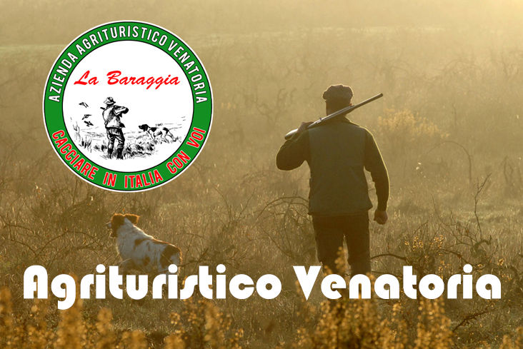 la baraggia caccia alla Lepre in piemonte