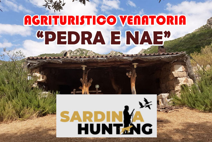 caccia alla lepre sarda in sardegna Pedra e Nae