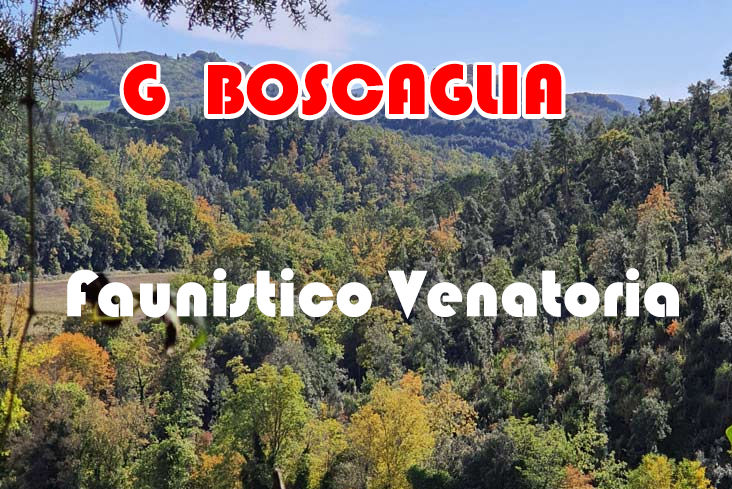 g boscaglia caccia alla pernice rossa in toscana