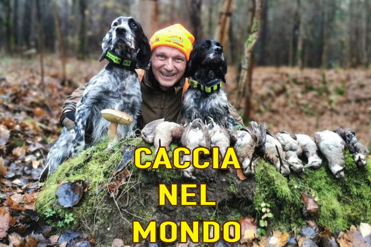 caccia alla starna in macedonia caccia nel mondo