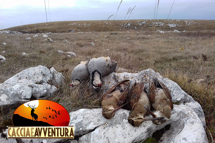 caccia alla coturnice in bosnia erzegovina con caccia e avventura