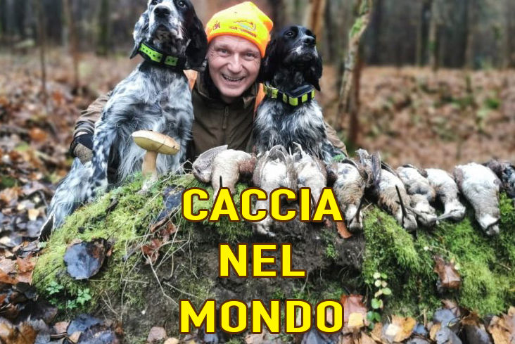 caccia al gallo cedrone in bosnia erzegovina con caccia nel mondo