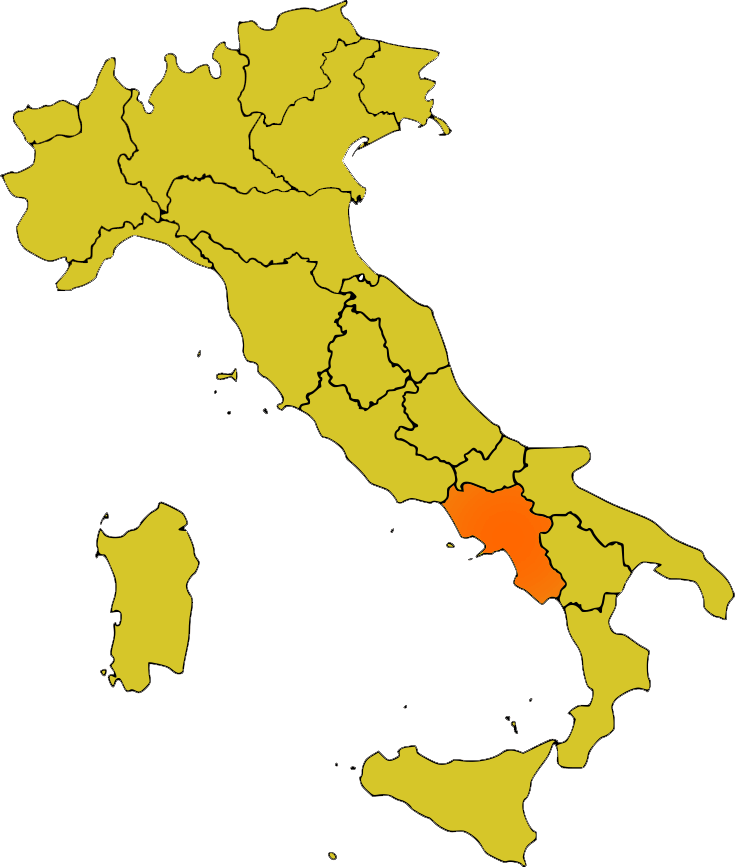 caccia alla migratoria in campania colombaccio tordi becccaccia