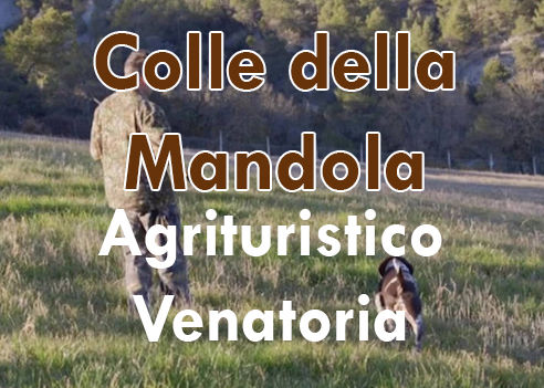rivergaro montefeltro caccia al fagiano in emilia romagna