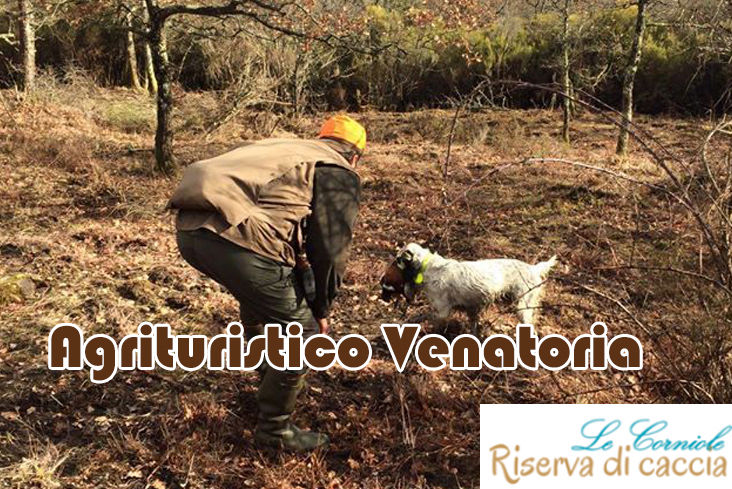 le corniole caccia alla pernice rossa in toscana
