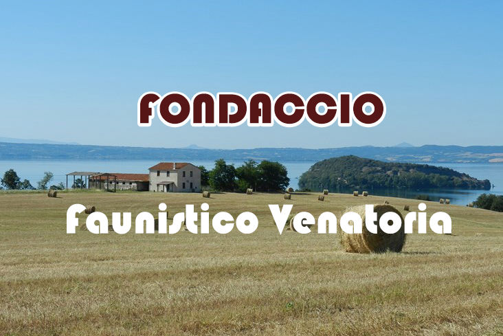 Fondaccio caccia nel lazio stanziale fagiano