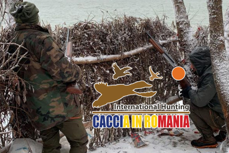 caccia alla starna in Romania con International Hunting