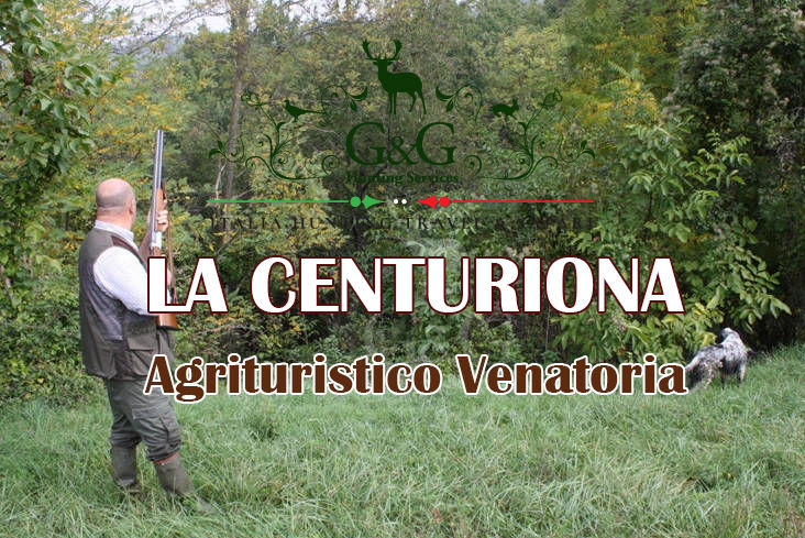 la centuriona caccia alla starna in piemonte