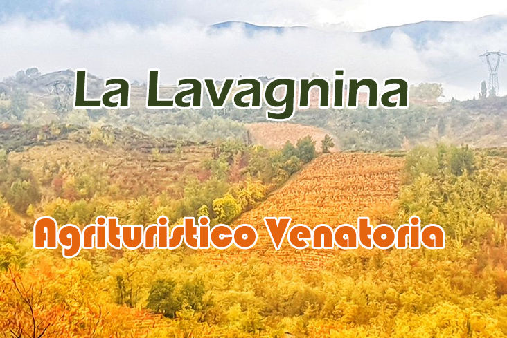 La lavagnina caccia alla Lepre in piemonte