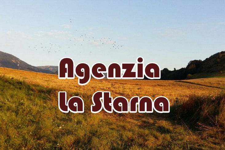 caccia alla starna in macedonia con la starna