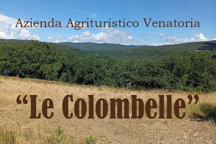 le colombelle caccia alla pernice rossa Toscana