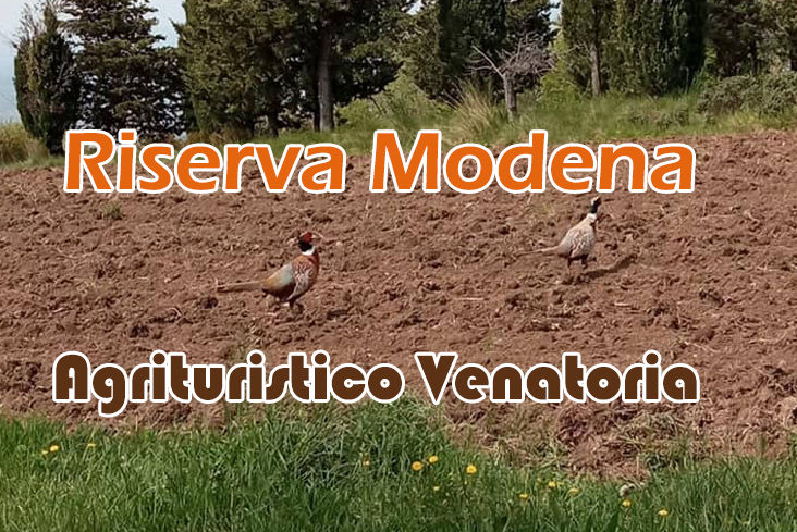 riserva modena caccia alla Lepre in toscana