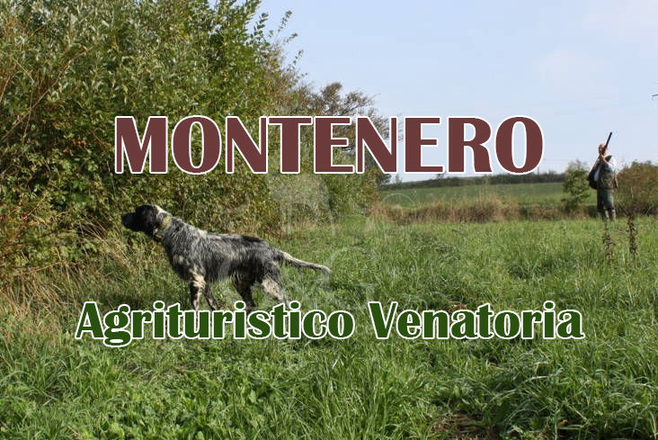 montenero caccia al fagiano in umbria
