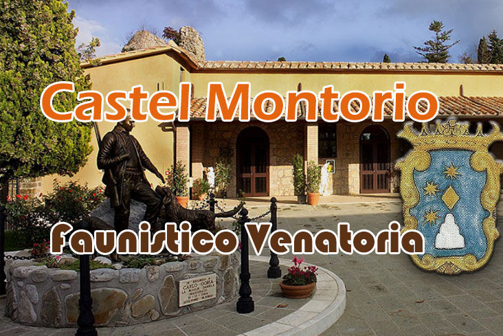 castel montorio caccia al fagiano in toscana