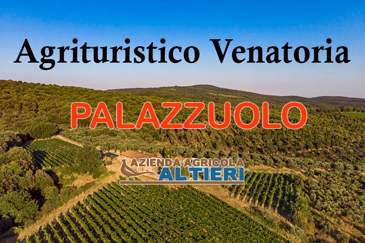 palazzuolo caccia alla starna in toscana