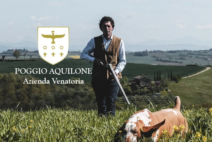 poggio aquilone caccia al fagiano in umbria