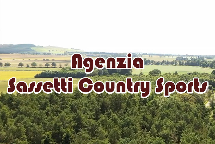 caccia al coniglio selvatico in scozia sassetti country sports