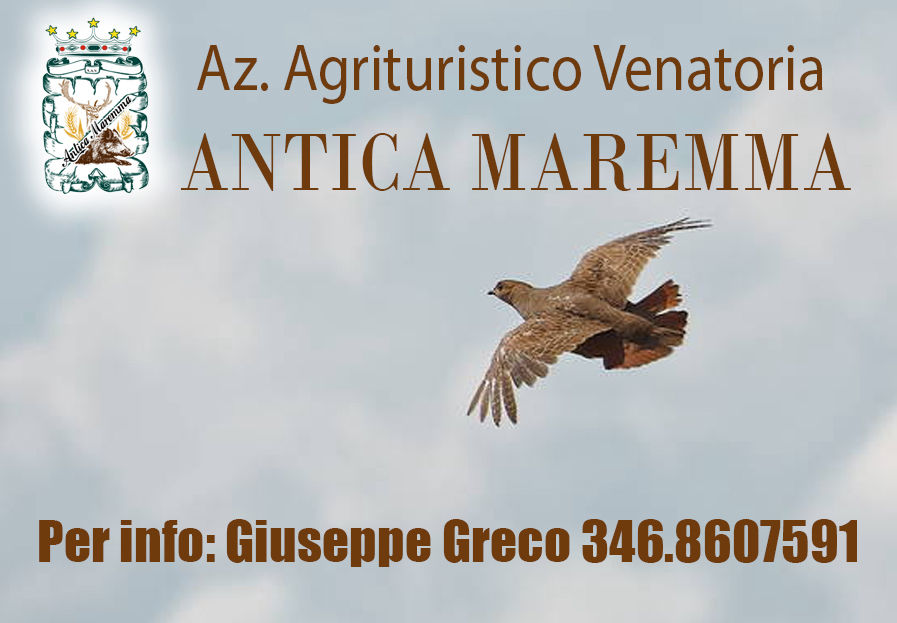 antica maremma riserva di caccia stanziale fagiano starna pernice rossa
